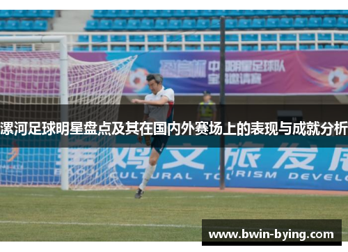 漯河足球明星盘点及其在国内外赛场上的表现与成就分析