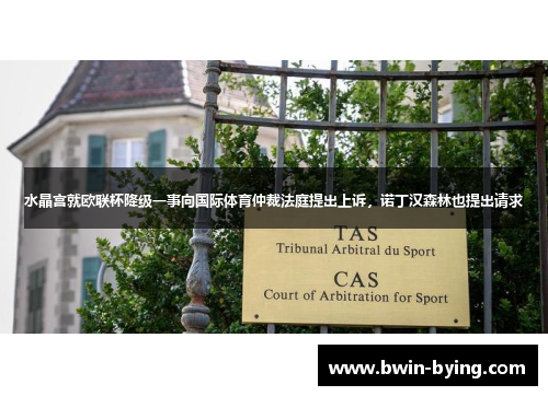 水晶宫就欧联杯降级一事向国际体育仲裁法庭提出上诉，诺丁汉森林也提出请求
