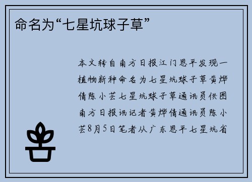 命名为“七星坑球子草”